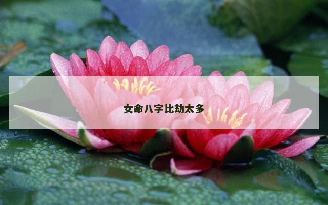 女命八字比劫太多