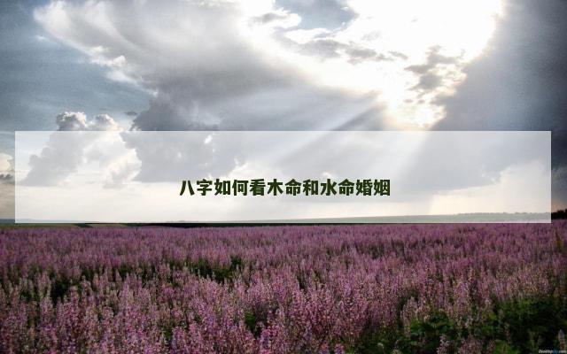 八字如何看木命和水命婚姻