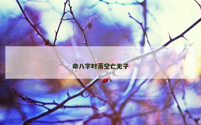 命八字时落空亡无子