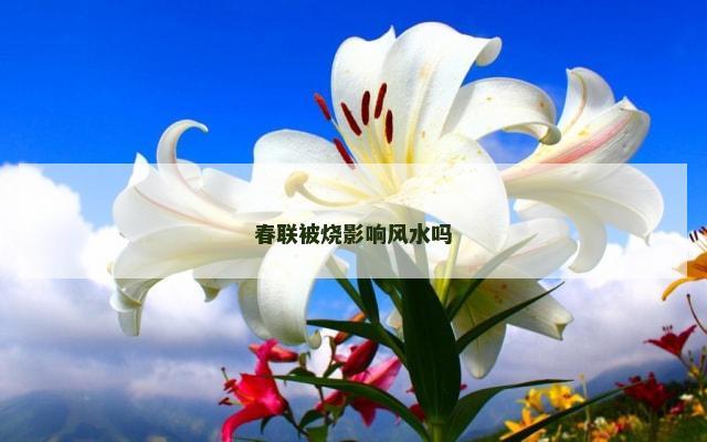 春联被烧影响风水吗