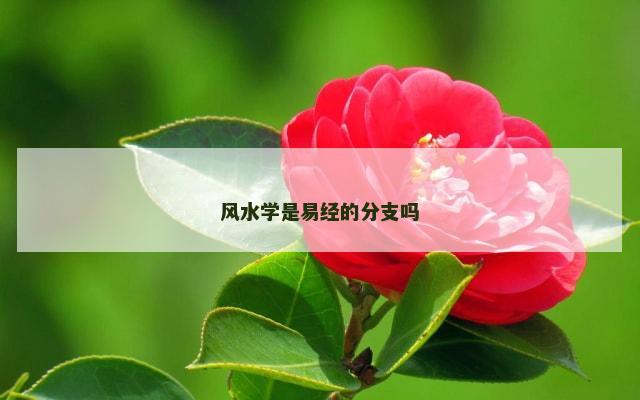 风水学是易经的分支吗