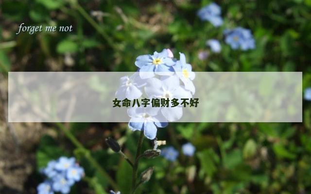 女命八字偏财多不好