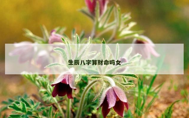 生辰八字算财命吗女