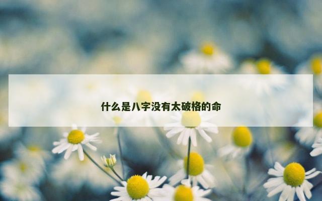 什么是八字没有太破格的命