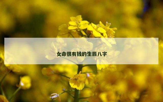 女命很有钱的生辰八字