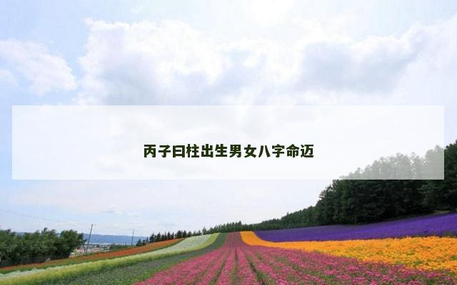 丙子曰柱出生男女八字命迈