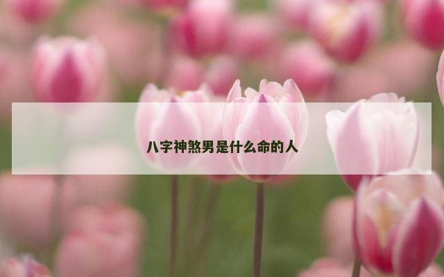 八字神煞男是什么命的人
