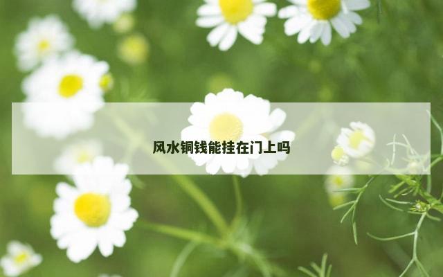 风水铜钱能挂在门上吗