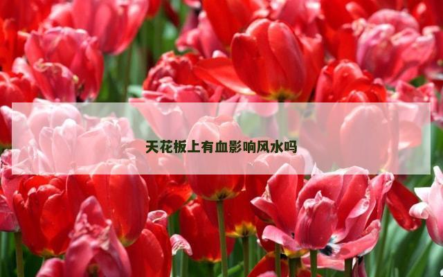 天花板上有血影响风水吗