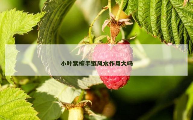 小叶紫檀手链风水作用大吗