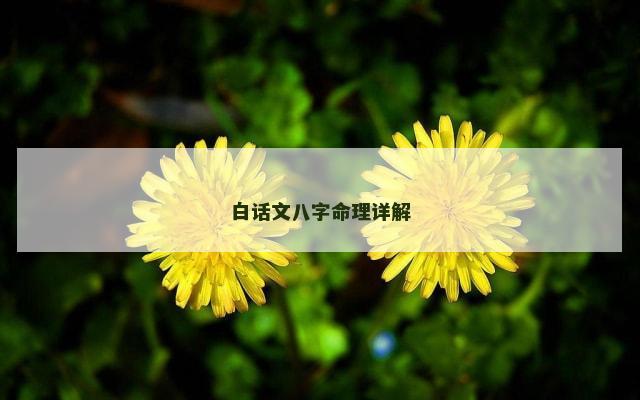 白话文八字命理详解