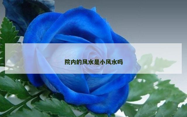 院内的风水是小风水吗