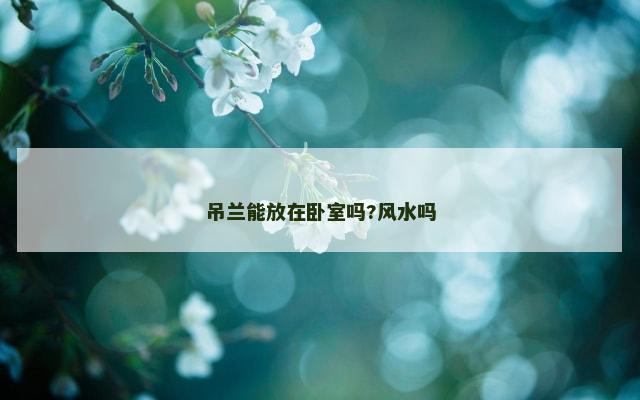 吊兰能放在卧室吗?风水吗