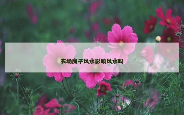 农场房子风水影响风水吗