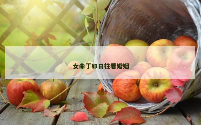 女命丁卯日柱看婚姻