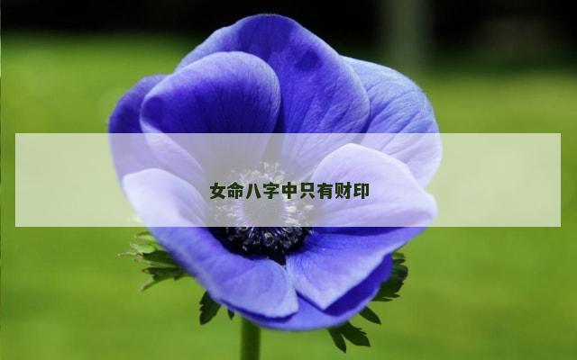女命八字中只有财印