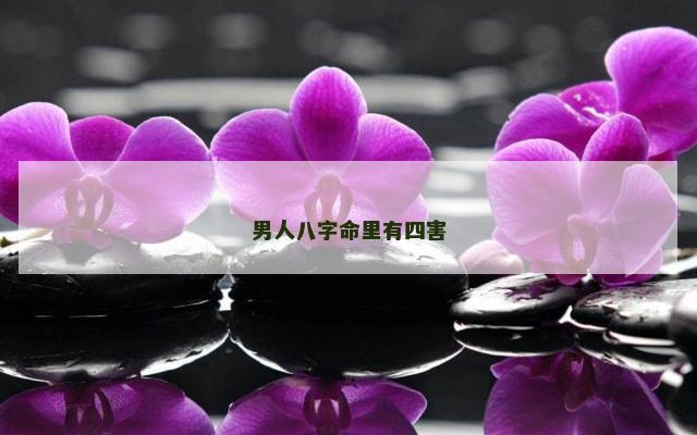 男人八字命里有四害