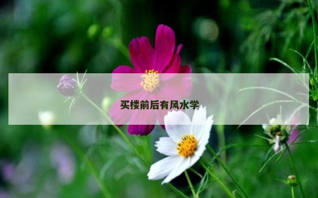 买楼前后有风水学