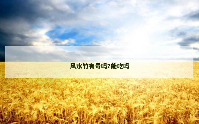 风水竹有毒吗?能吃吗