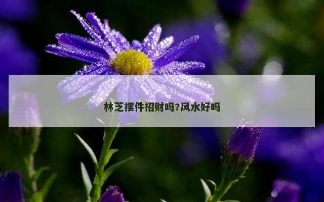 林芝摆件招财吗?风水好吗