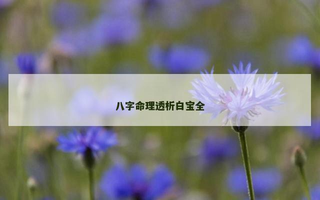 八字命理透析白宝全