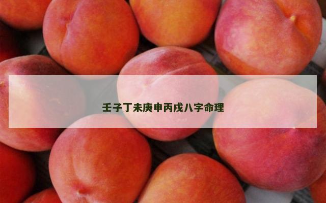 壬子丁未庚申丙戌八字命理