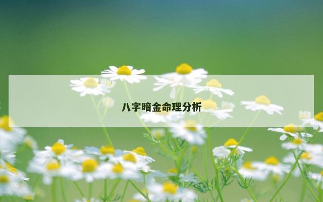 八字暗金命理分析
