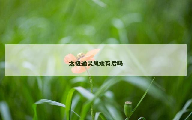 太极通灵风水有后吗