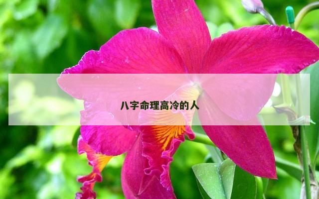 八字命理高冷的人