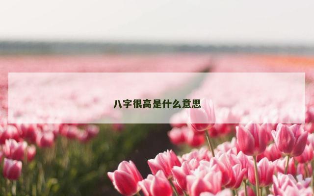 八字很高是什么意思