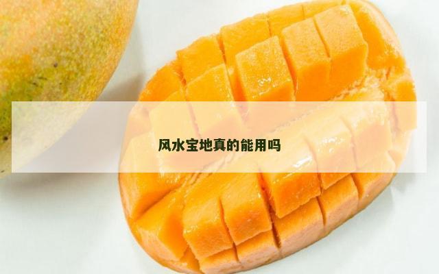 风水宝地真的能用吗