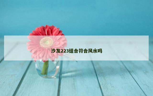 沙发223组合符合风水吗