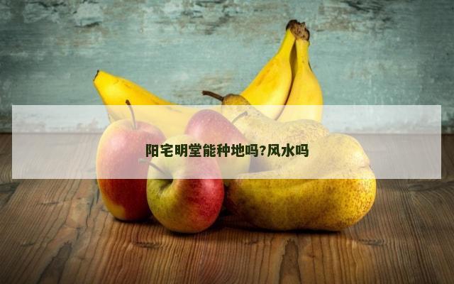 阳宅明堂能种地吗?风水吗