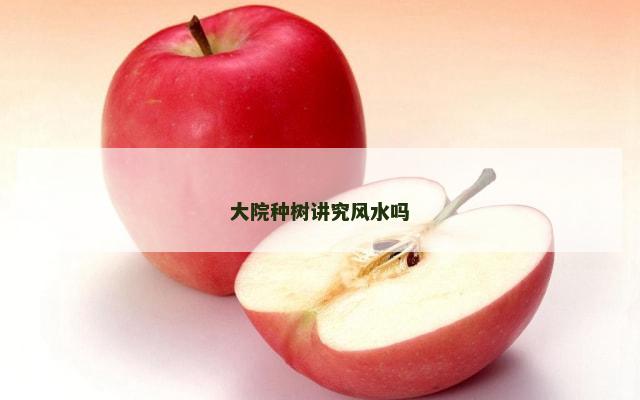 大院种树讲究风水吗