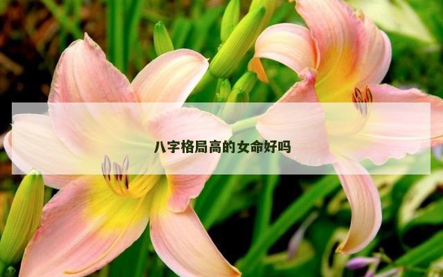 八字格局高的女命好吗