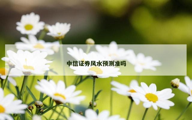 中信证券风水预测准吗