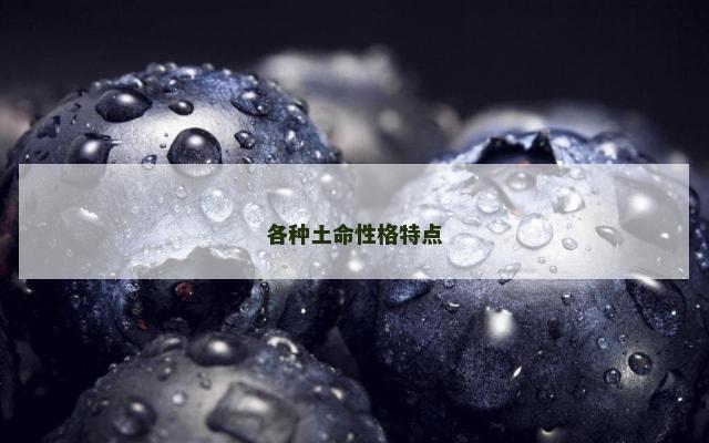 各种土命性格特点