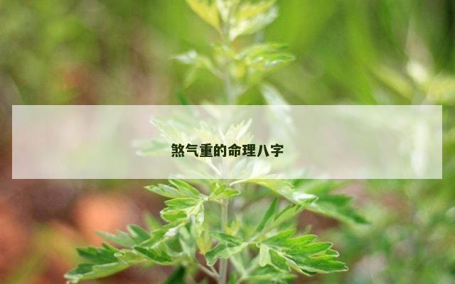 煞气重的命理八字