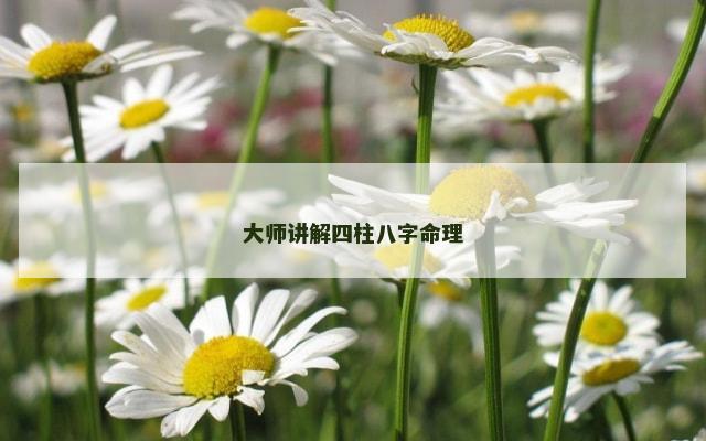 大师讲解四柱八字命理