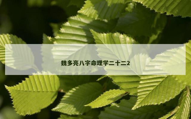 魏多亮八字命理学二十二2