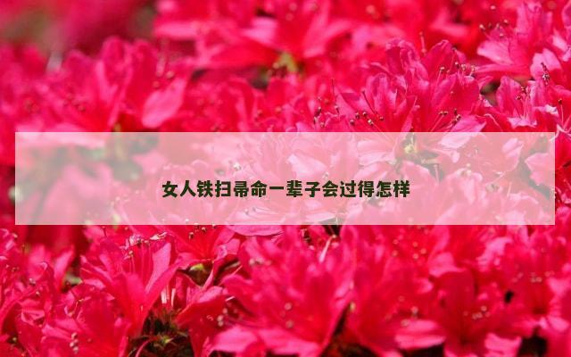 女人铁扫帚命一辈子会过得怎样