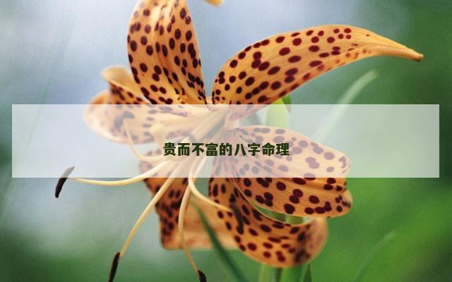 贵而不富的八字命理