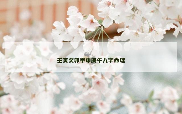 壬寅癸卯甲申庚午八字命理