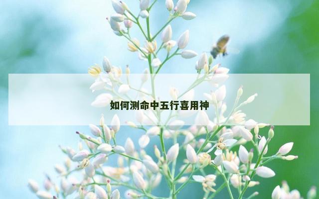 如何测命中五行喜用神