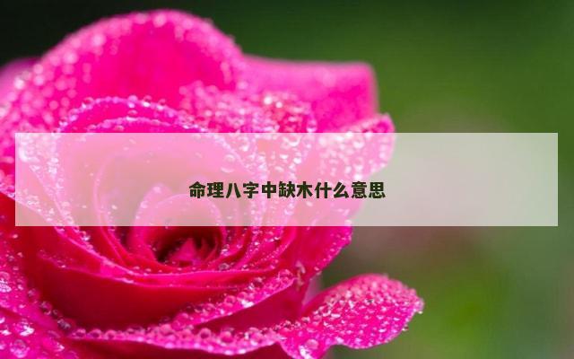 命理八字中缺木什么意思