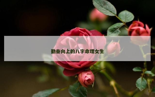 勤奋向上的八字命理女生