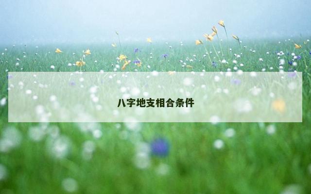 八字地支相合条件