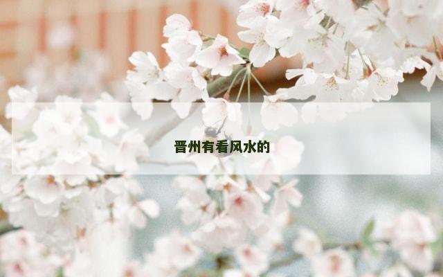 晋州有看风水的
