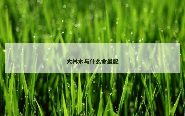 大林木与什么命最配