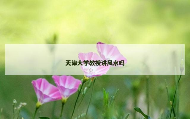 天津大学教授讲风水吗